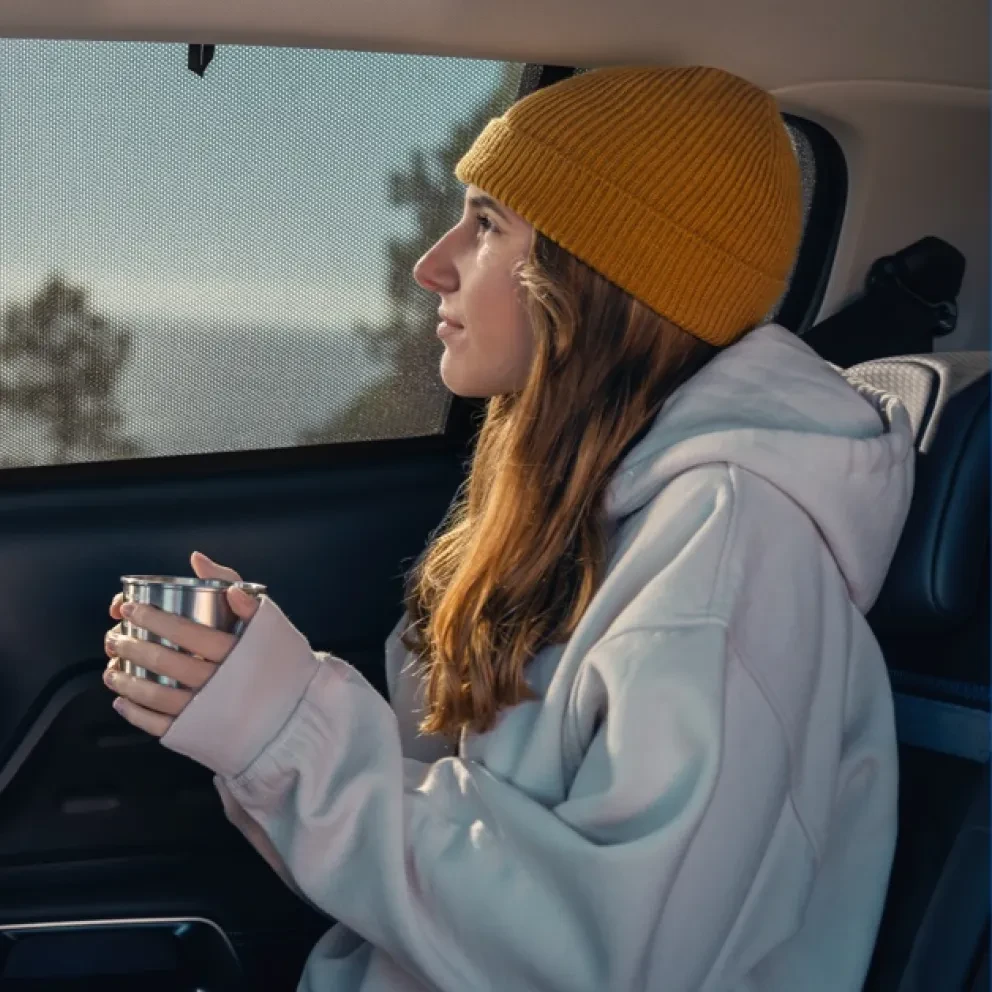 Citroën Wintercheck