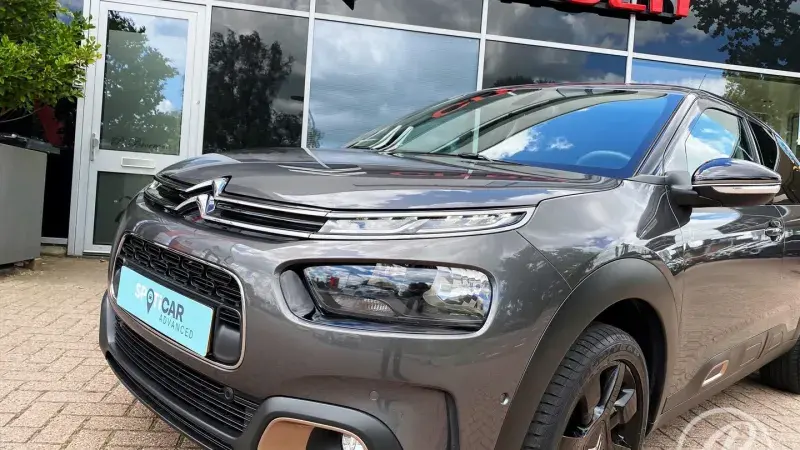 C4 Cactus